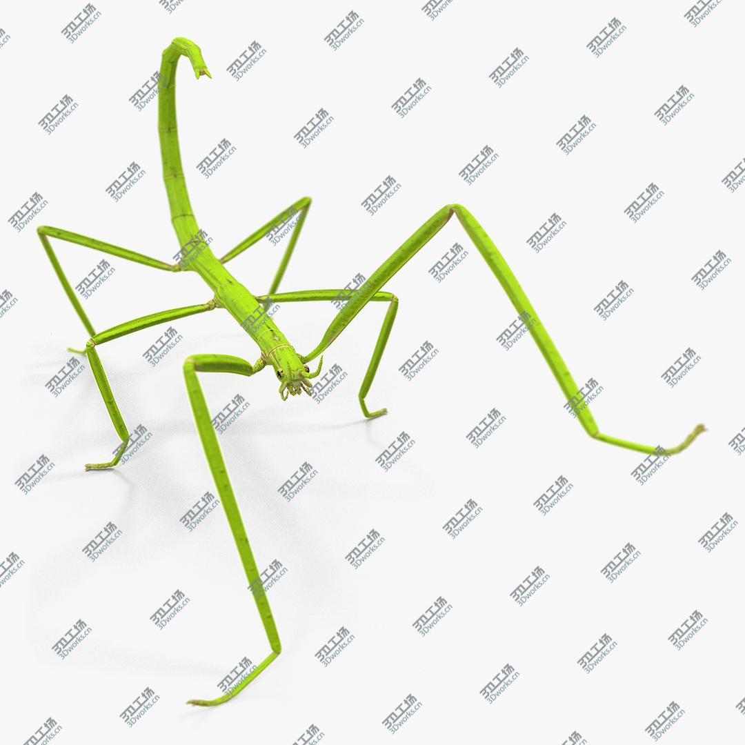 images/goods_img/202105071/Stick Insect Green Rigged 3D model/1.jpg